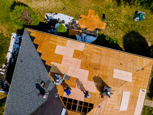 Best Roof Gutter Cleaning  in Difficult Run, VA